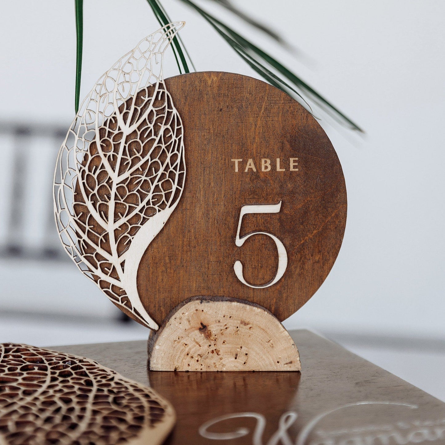 Розсадка
Номер на стіл
Номери на столах на весіллі
Виїздна церемонія Стиль природній Дерев'яні номери Природнє дерево Фактура сухого листя Листочок з прожилками Весільні аксесуари